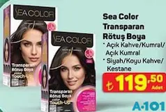 SEA COLOR TRANSPARAN RÖTUŞ BOYA fiyat ve kampanya bilgisi